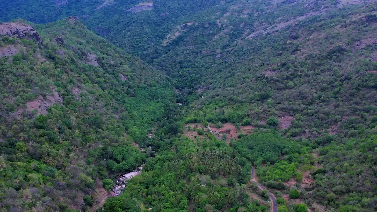 Kolli Hills